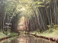 -同里国家湿地公园