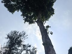-海南热带野生动植物园