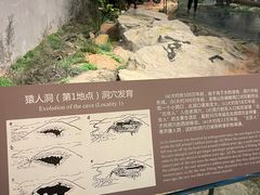 -北京周口店北京人遗址博物馆