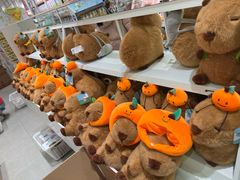 -名创优品(山东青岛华润万象城店)