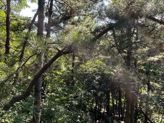 -云峰山自然风景区