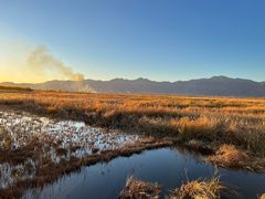 -野鸭湖国家湿地公园