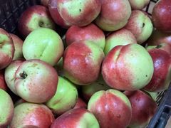 -南汇新场正宗水蜜桃采摘