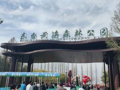 -黄海国家森林公园