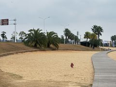 -柳湖沙月沙滩公园