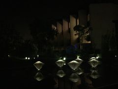 -上海崇明金茂凯悦酒店