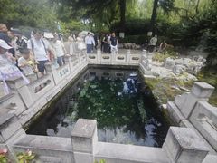 -泉城广场