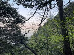 -萍乡武功山风景名胜区