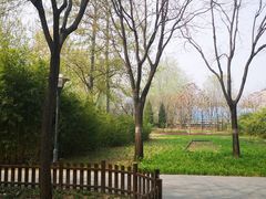 -北极寺公园