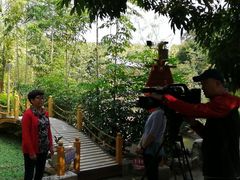 -晓雯人家