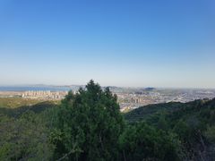 -府君山公园
