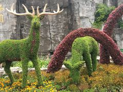 -西安秦岭野生动物园