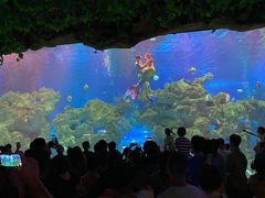 -芜湖新华联大白鲸海洋公园