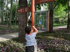 -仁和公园(顺义区)