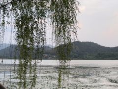-鸣鹤古镇