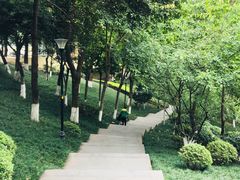 -龙头寺公园