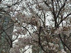 -滨江生态公园