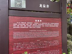 -泸州老窖景区