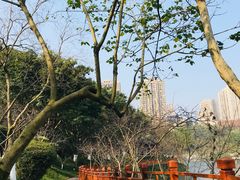 -重庆彩云湖湿地公园