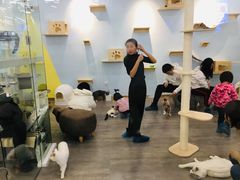 -猫冇咖·家门口的撸猫馆(大融城店)
