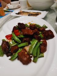 -上海绿地万豪酒店·大宴会厅