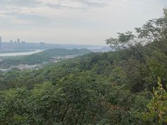 -岳麓山风景名胜区