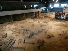 -自贡恐龙博物馆