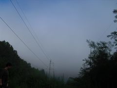 -五营红松林海景区