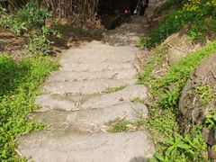 -南山植物园