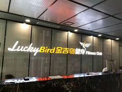 -金吉鸟健身游泳