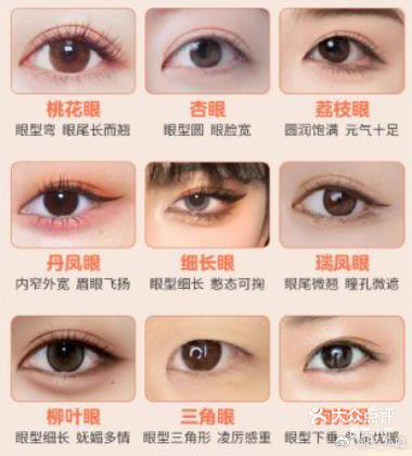 眼睛类型分类:桃花眼,三角眼,丹凤眼,细长眼,柳叶眼,狗狗眼,瑞凤眼