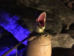 -寻龙山风景旅游区