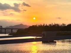-江心屿景区