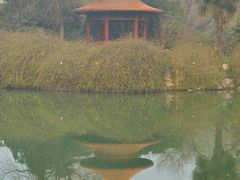 -西苑公园