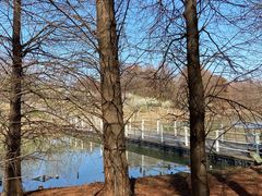 -上海海湾国家森林公园