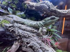 -博纳UA影城(KK Mall IMAX店)