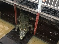 -洞里萨湖