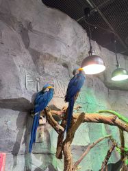 点击看大图 -Zoolung Zoolung动物主题公园(海信广场店)