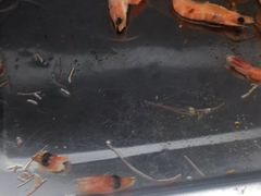 -汉丽轩韩式自助烤肉(大学城龙湖U城天街A馆店)