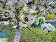 -元大都城垣遗址公园