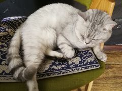 -不舍昼夜咖啡馆