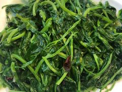 -马帮菜馆·美味野生菌