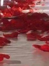 -四方阁酒楼·宴会厅(圣灯店)