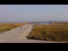 -南汇嘴观海公园