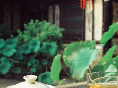 -朱家花园