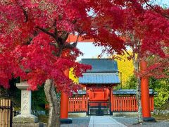 -天龙寺