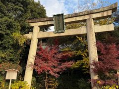 -京都御所