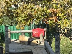 -大连森林动物园