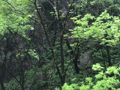 -尧山风景区