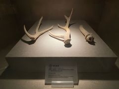 -南越王博物院(王宫展区)